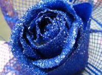 Анна Алехина