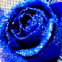 Анна Алехина