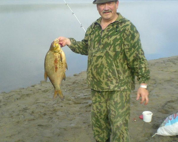 Владимир Артемьев