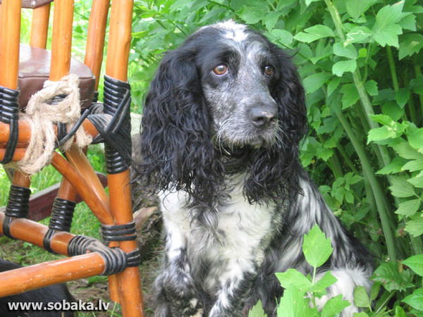 Татьяна Хотькина