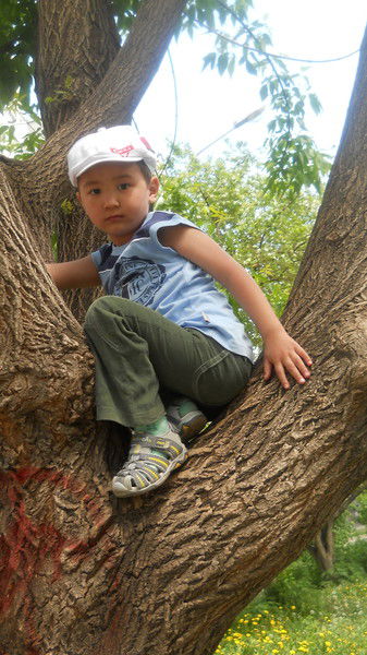 Жениш Кадыров