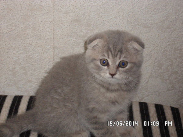 Валентина К...