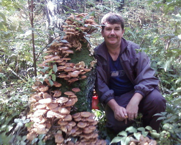 Сергей Кулиш