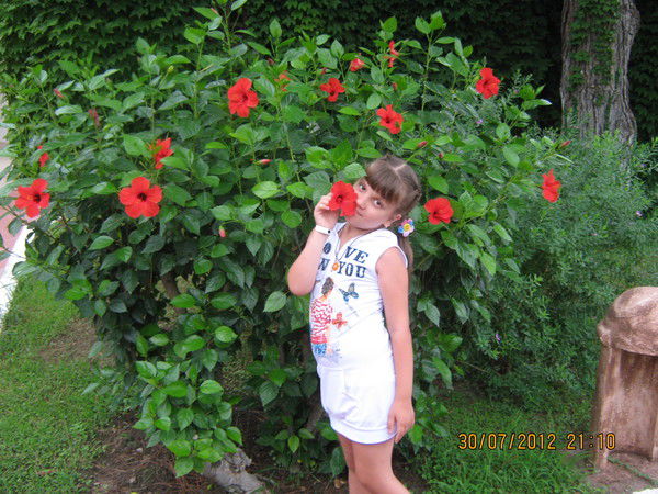 Елизавета Лосева