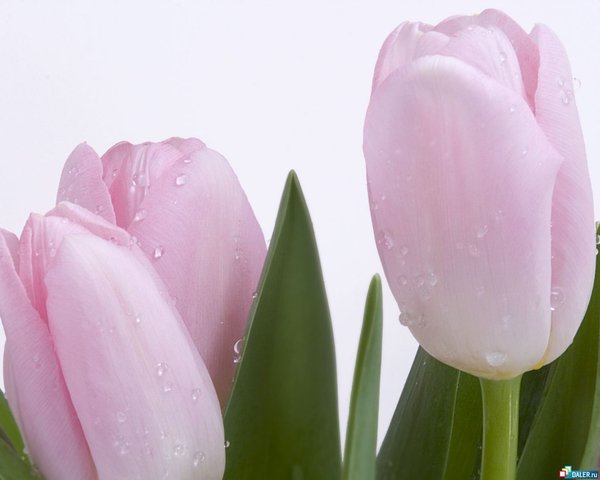 Финансы И Кредит