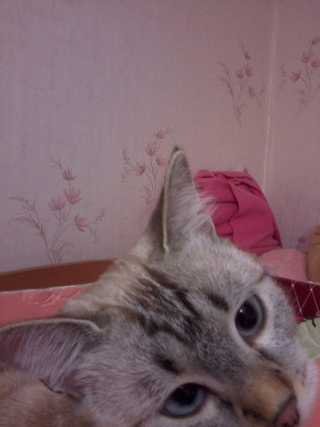 Ezerka Езерская