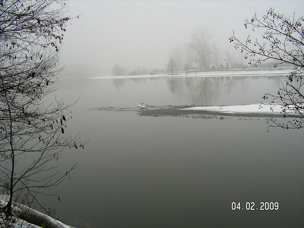 Наталья Голикова