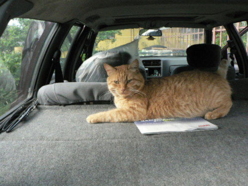 Нина Маврина