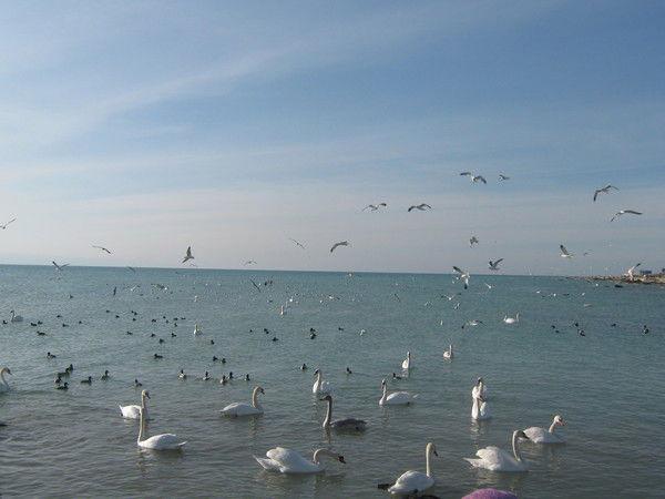 Кулянда Кульниязова