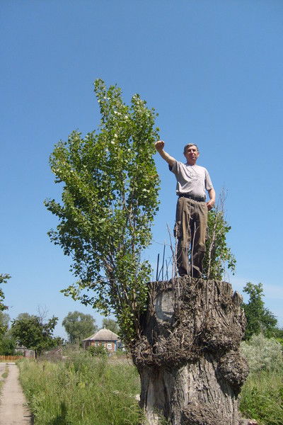 Виктор Малыхин