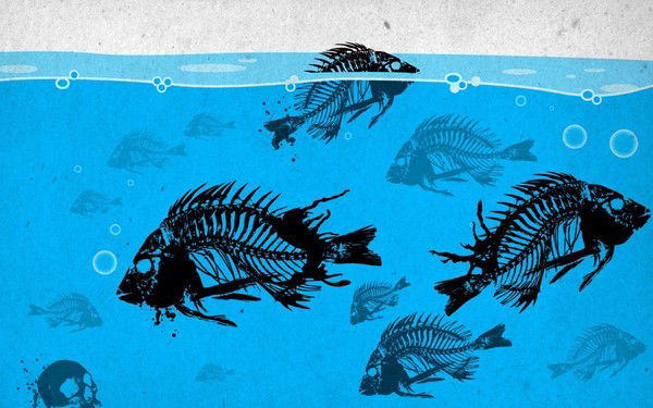 Руслан Запара