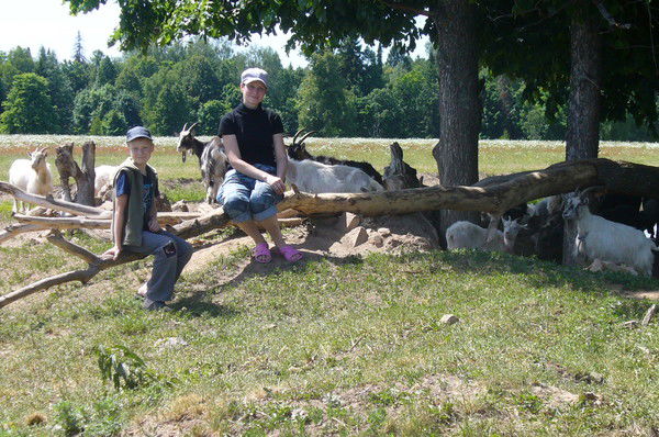 Ольга Ярошевич