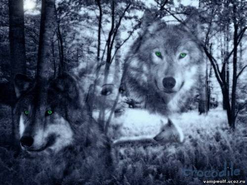 Евгений Юршин