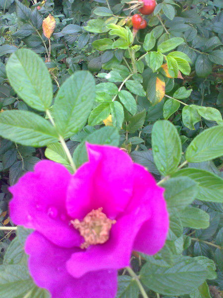 Татьяна Акмашева