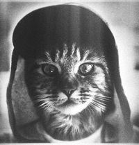 Алексей Тарасов