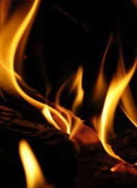 Владимир Семенищев