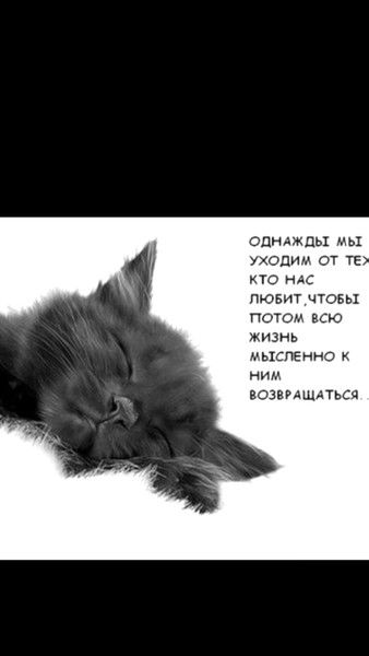 Olga-Angel Shamsieva