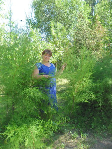 Анжелика Гарнаженко