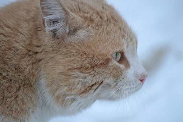 Юра Базаров