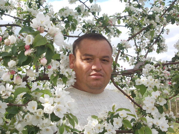 Рустам Хусамов