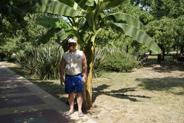 Андрей Ракшин