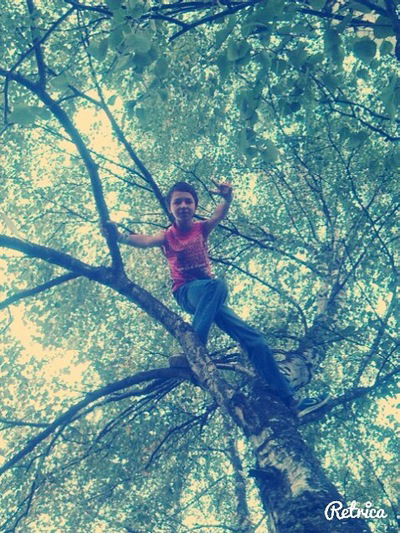 Кирилл Кравцов