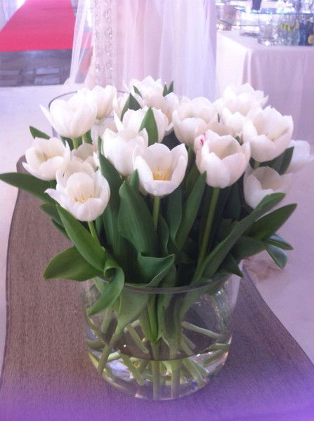 Эльвира Ахметова