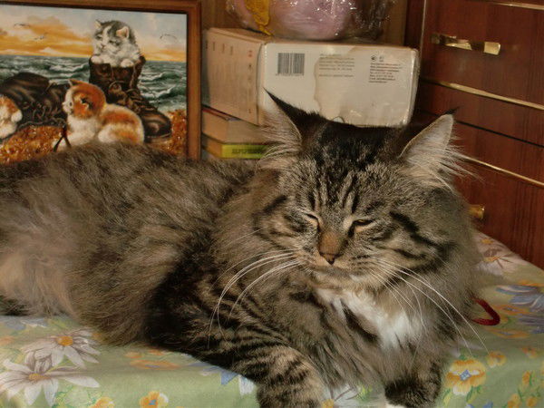 Наталья Тулаева