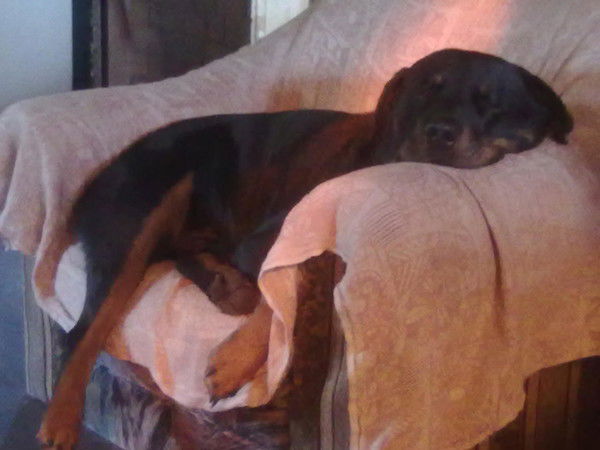 ***татьяна ***