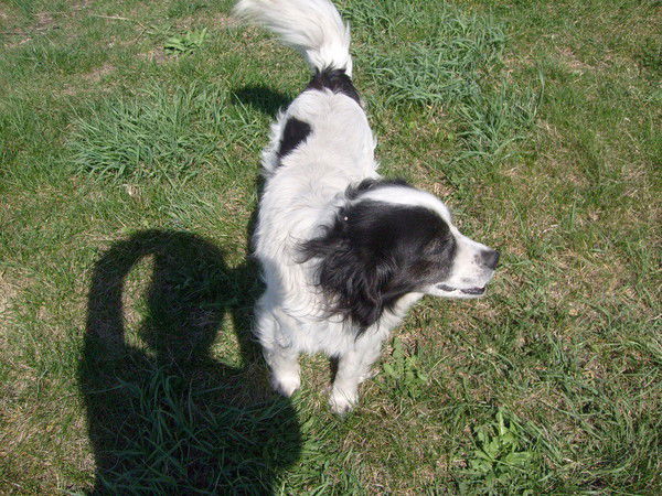 Андрей Андрей