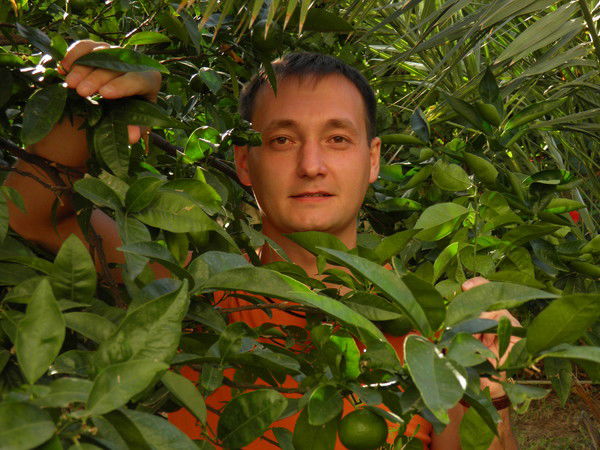 Андрей Нечаев