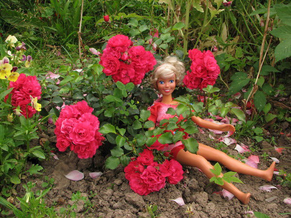 Татьяна Шаталова