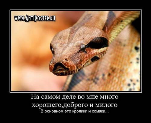 Загадка чего не хватает у мужика. Смотреть фото Загадка чего не хватает у мужика. Смотреть картинку Загадка чего не хватает у мужика. Картинка про Загадка чего не хватает у мужика. Фото Загадка чего не хватает у мужика