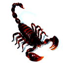 Скорпион Скорпионыч