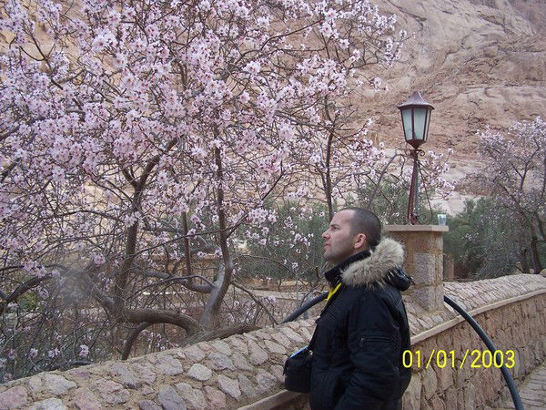 Александр Подколзин