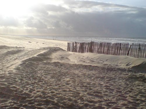 Марина Горбенчис