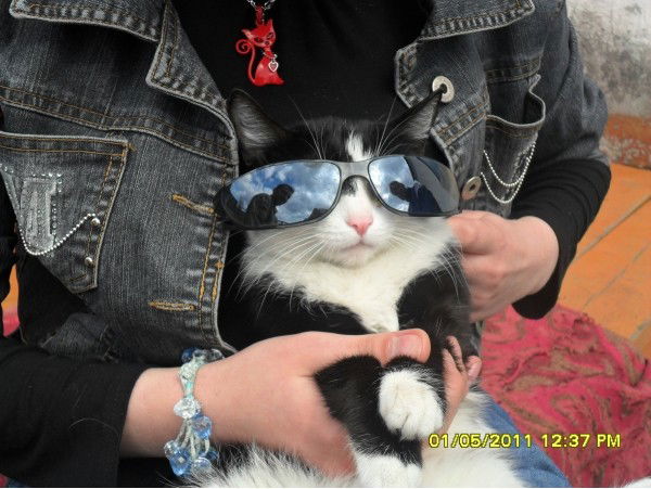 Андрей Зимин