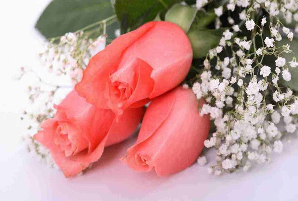 Шахло Разакова