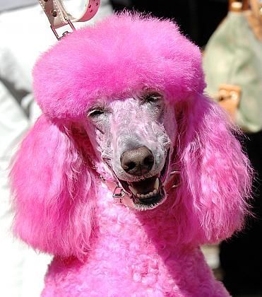 Максим Митин