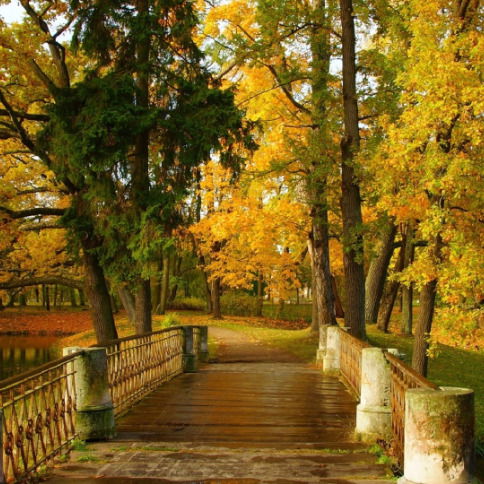 Сагыныш Тулегенова