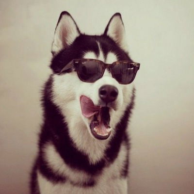 Марго Найпак