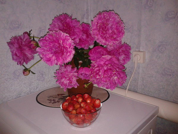 Татьяна Похлебкина