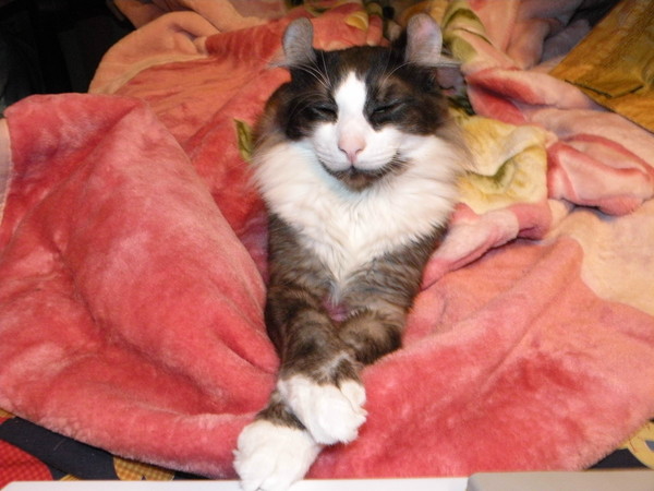 Григорий Малышев