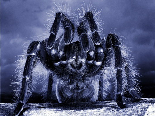 Сергей Навчук