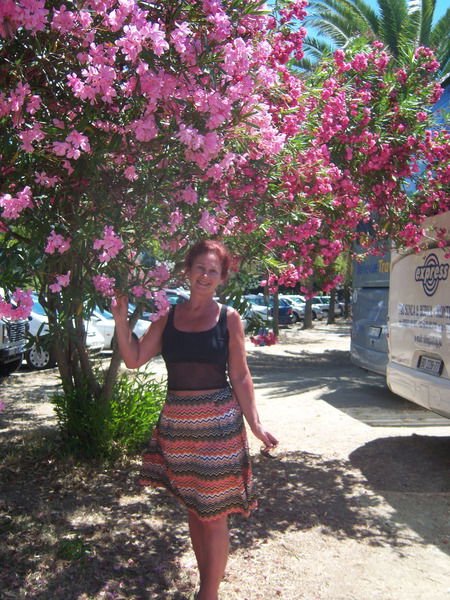 Ирина Петрушенко