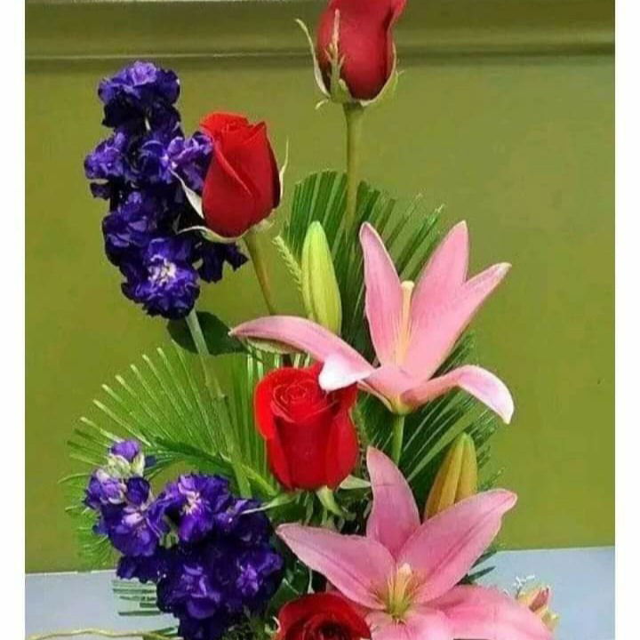 Айжан Азаматкызы