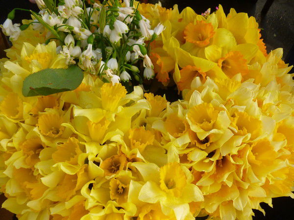 Александр Колупаев