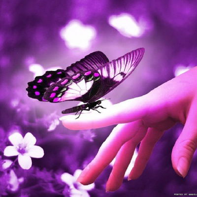 Мария Авдеева