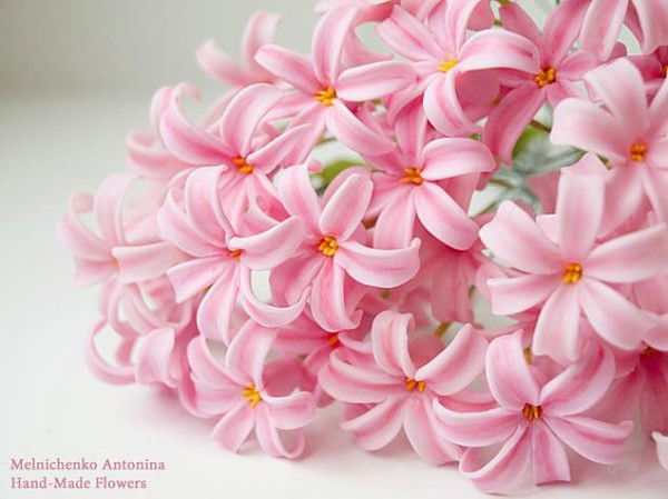 Айман Жунусова