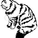 Дарья Кошечка